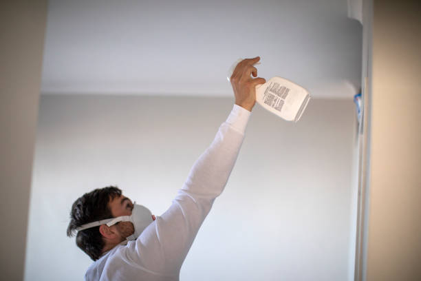 Trusted Union Hill Novelty Hill, WA Mold Removal Experts