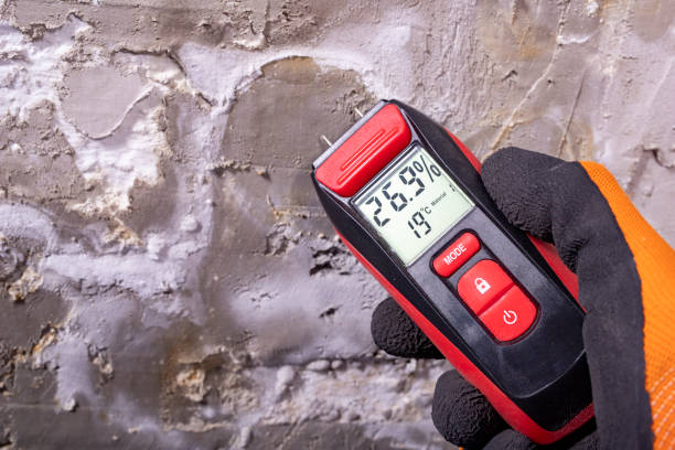 Best Mold Remediation  in Union Hill Novelty Hill, WA